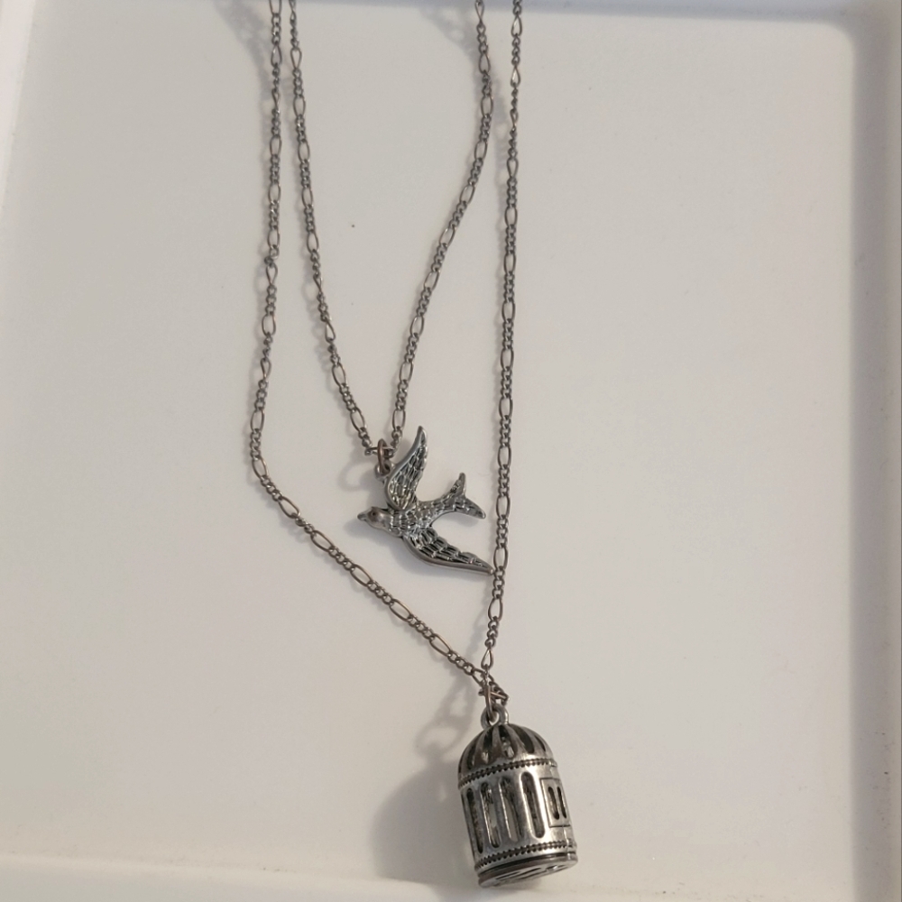 Silver Sparrow and Cage Necklace